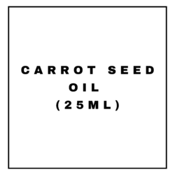 CARROT SEED OIL (25ML)